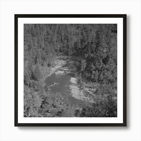 Shasta County, California, Mountain Stream By Russell Lee Art Print