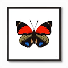 Mechanical Butterfly The Agrias Amydon Tryphon On A White Background Art Print