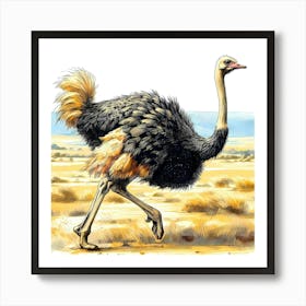 Ostrich Run Color Drawing - Wild Bird Artwork 131 Art Print