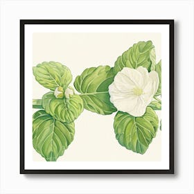 Hibiscus Art Print