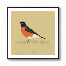 American Robin Art Print