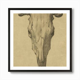 Skull Of A Bull Art Print