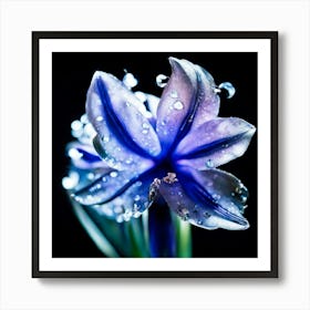 Blue Flower With Water Droplets 1 Art Print
