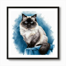 Siamese Cat Art Print