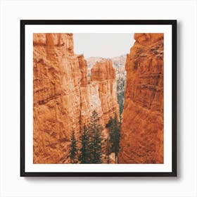 Bryce Canyon Trail Art Print