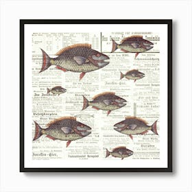 Fish Fishes Against The Current Art Print