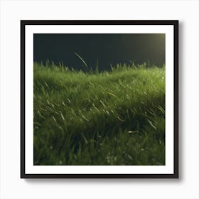 Grass Field At Night Art Print