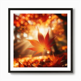 Autumn Leaves In The Forest Art Print