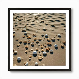 Sand, Beach, And Shells 1 Art Print