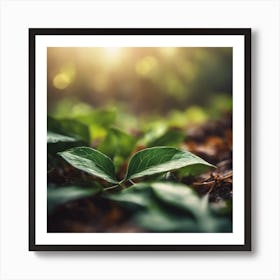 Green Leaf In The Forest 5 Art Print