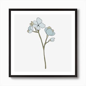 White Flowers On A Black Background Art Print