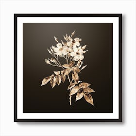 Gold Botanical Musk Rose on Chocolate Brown n.0290 Art Print