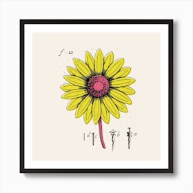 Daisy Art Print