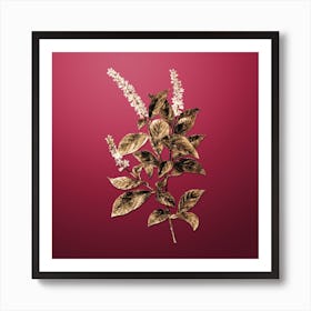 Gold Botanical Virginia Sweetspire on Viva Magenta n.0116 Art Print