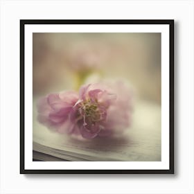 A Close Up Of A Delicate Book Bud Just Beginning To Bloom, With Soft Petals And Hints Of Vibrant Col (2) Art Print