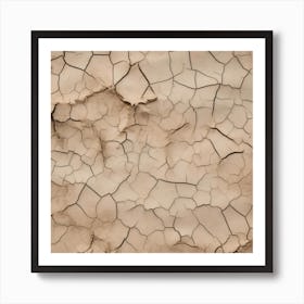 Cracked Earth 5 Art Print