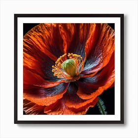 Ethereal poppy flower 9 Affiche