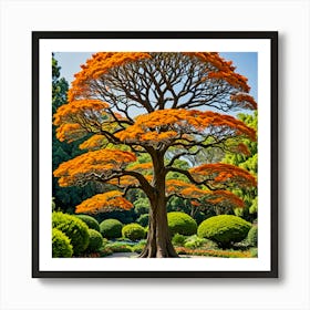 Orange Tree In The Garden Art Print