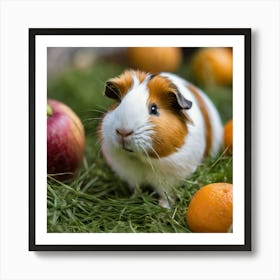 Guinea Pig On The Grass Art Print