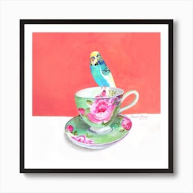 Budgerigar On Pink And Green Tea Cup Square Art Print