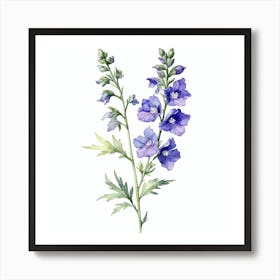 Foxglove Watercolor Painting Art Print