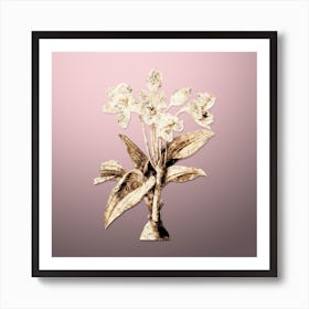 Gold Botanical Crinum Giganteum on Rose Quartz n.2942 Art Print