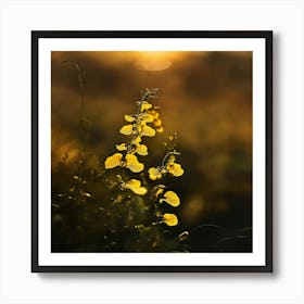 Yellow Flowers At Sunset Art Print