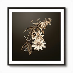 Gold Botanical Mrs. Marryat's Tacsonia Flower on Chocolate Brown n.0335 Art Print