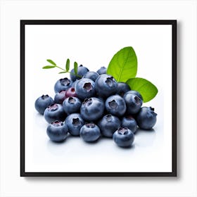 Blueberries Isolated On White Background Art Print
