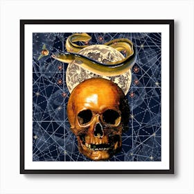 Skull And Snake Art Print