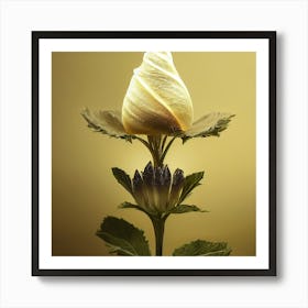 White Rose Art Print