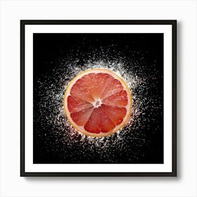 Grapefruit 1 Art Print