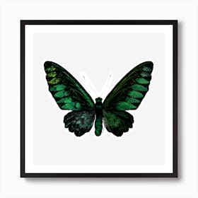 Botanicalbutterflygreen Art Print