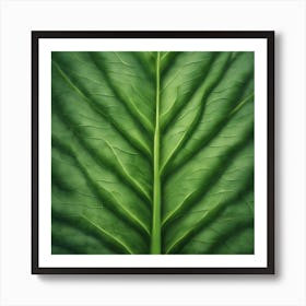 Kale Leaf Art Print