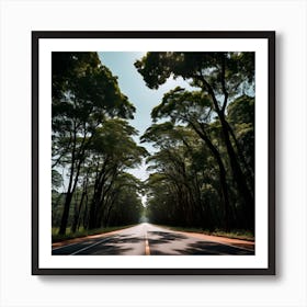 Road In The Forest Art Print