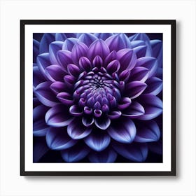 Purple Dahlia Flower Art Print