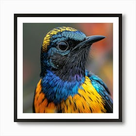 Colorful Bird 8 Art Print