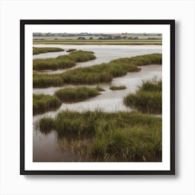 Marshland Art Print