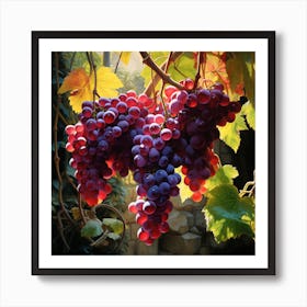 Grapes On The Vine Art Print