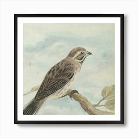 Sparrow On A Branch Poster