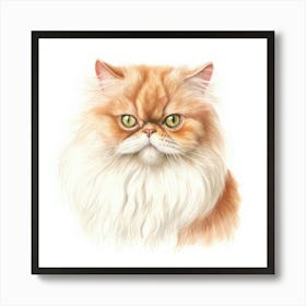 Colorpoint Persian Cat Portrait 2 Art Print