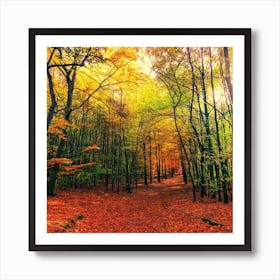 Autumn Forest Photo Art Print