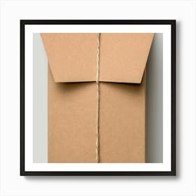 Cardboard Box Art Print