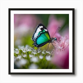 Butterfly On A Flower Art Print