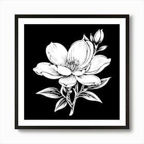 Magnolia Flower Art Print