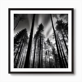 Twilight Forest Art Print