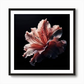 Pink Azalea Flower Art Print
