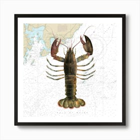 American Lobster By James Ellsworth De Kay On Maine Nautical Chart Art Print