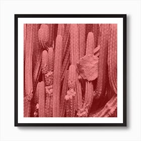 Rustic Red Cacti Art Print