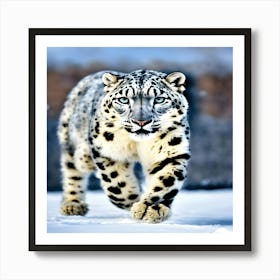 Snow Leopard Art Print